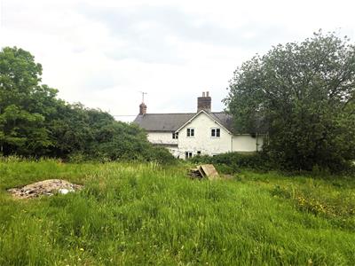 Picture 22